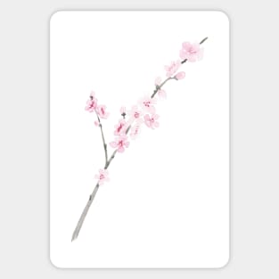 Peach Blossom, or Money Sticker